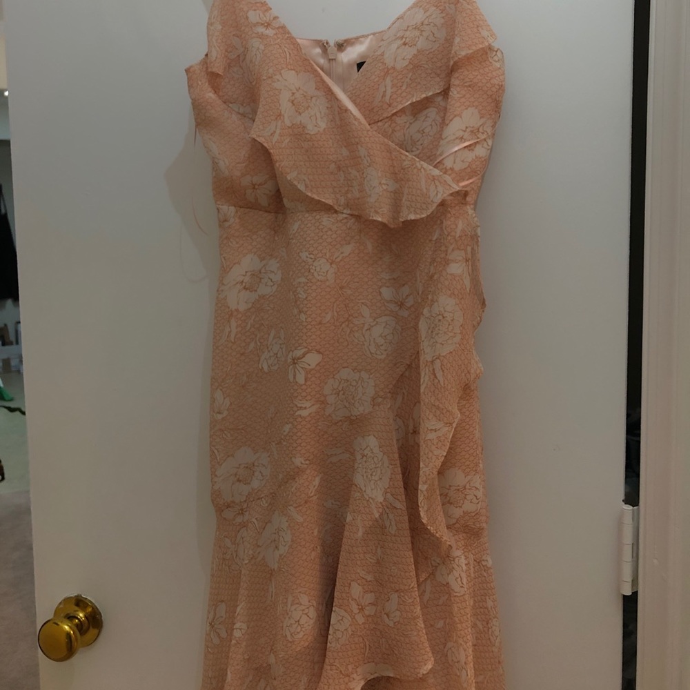 Express Rose Colored Dress